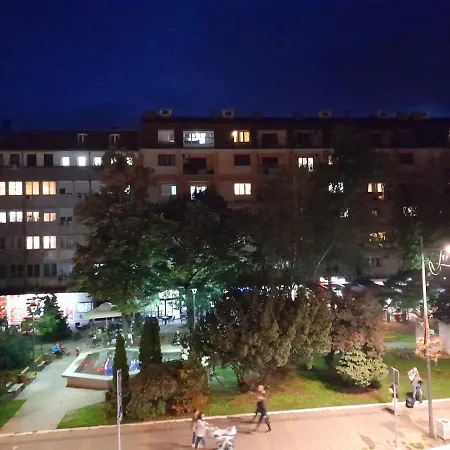Woody Apartament