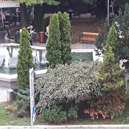 Woody Valjevo